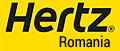 Rental Car 
