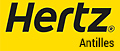 Rental Car 