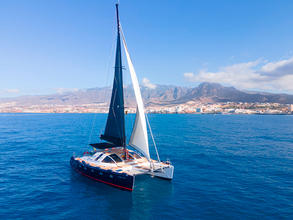 boat trips from puerto de santiago tenerife