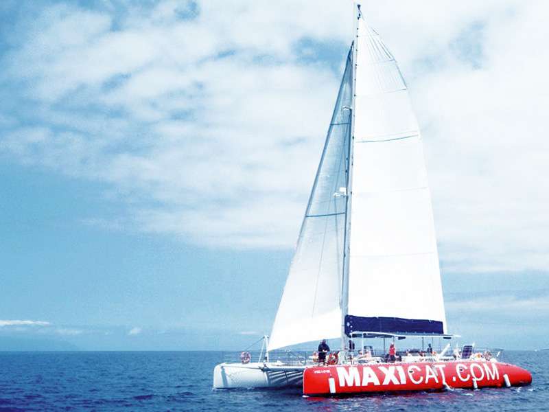 excursion Maxicat Catamaran Tenerife