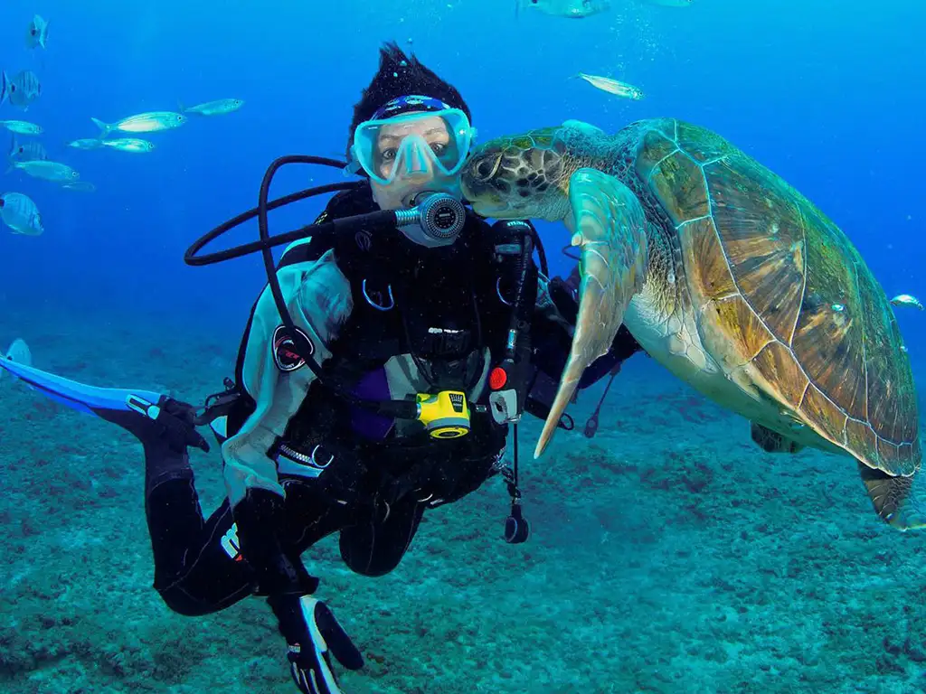 OLA Diving Center