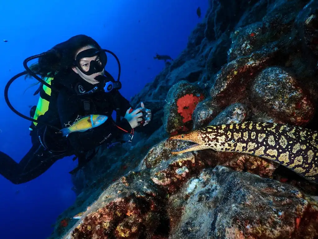OLA Diving Center