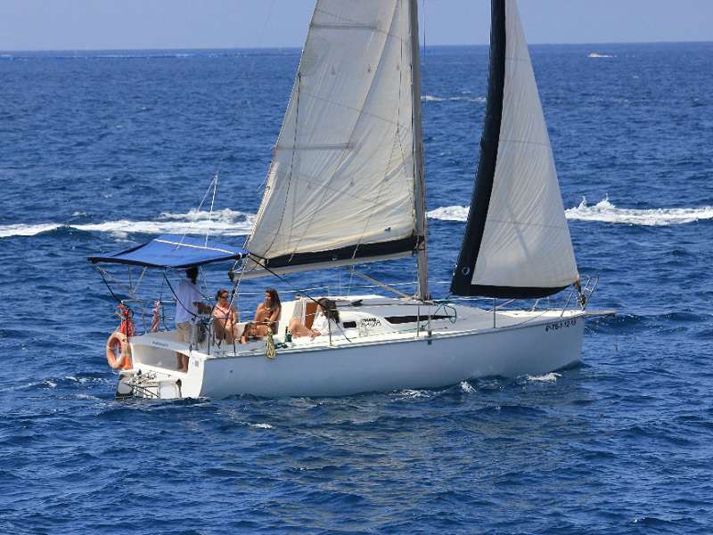 boat trips from puerto de santiago tenerife