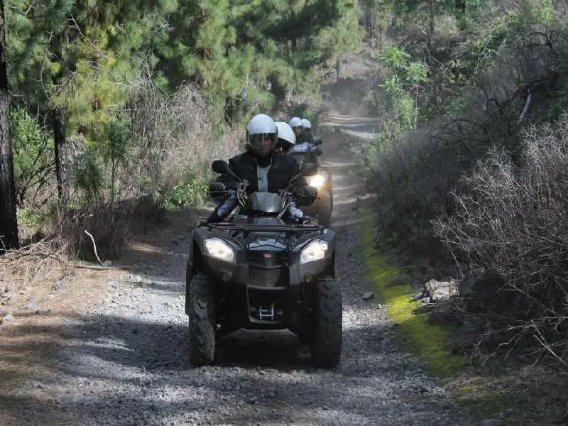 Quad Gigantes