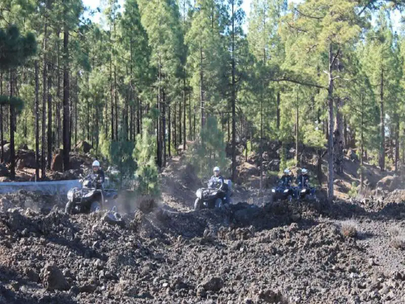 Quad Gigantes