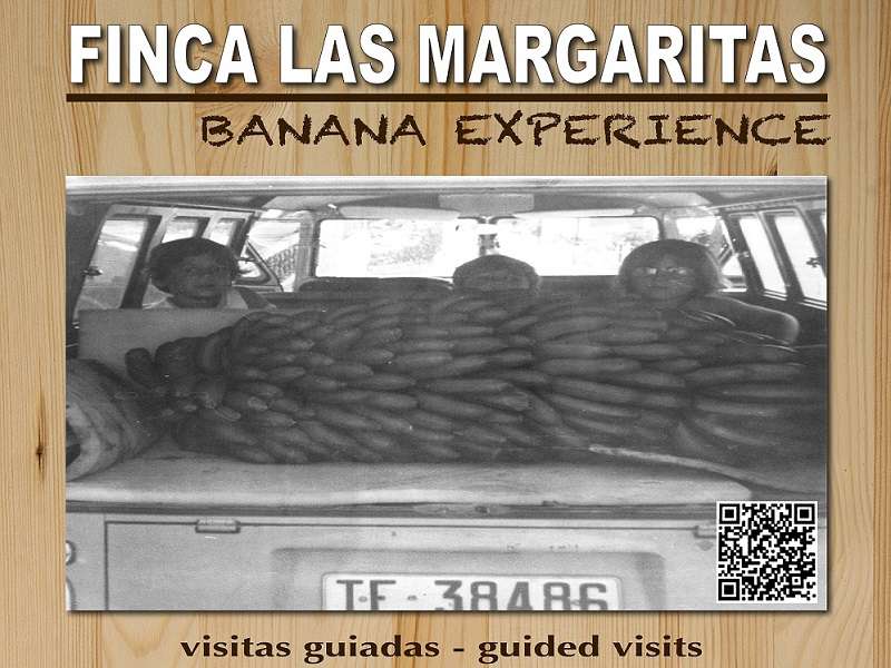 Banana Experience