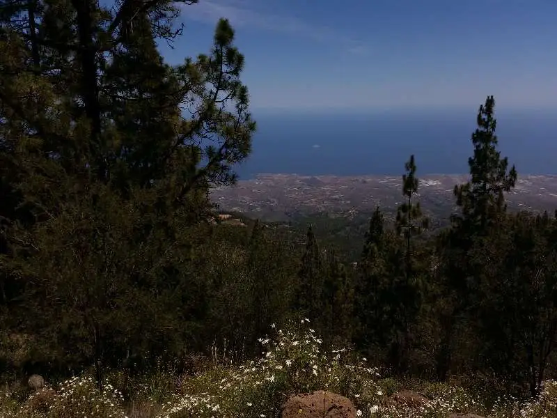 Jeep Trip Tenerife