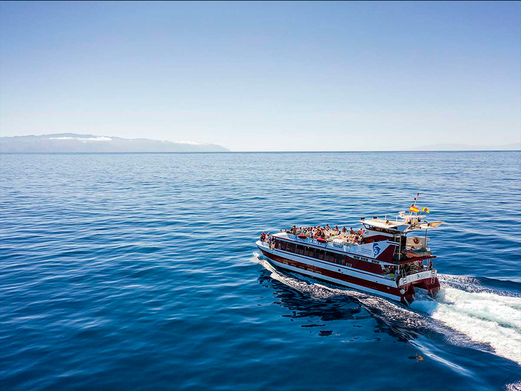 boat trips from puerto de santiago tenerife