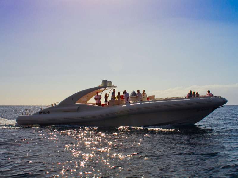 boat trips from puerto de santiago tenerife