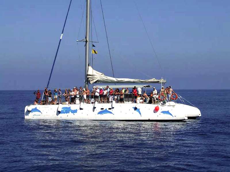 Mustcat Catamarán