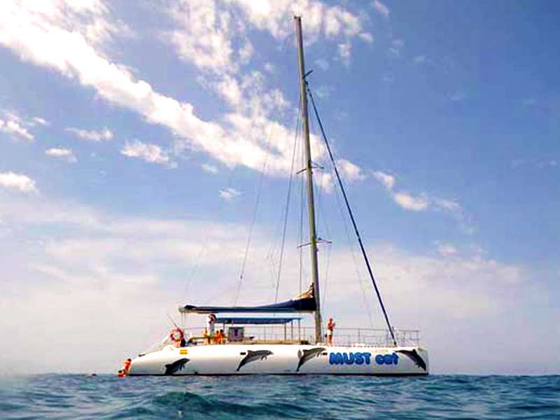 Mustcat Catamarán