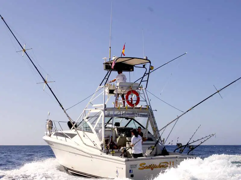 Sailfisher II