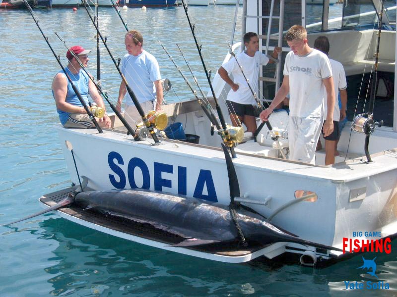 excursion Yate Sofía Fishing