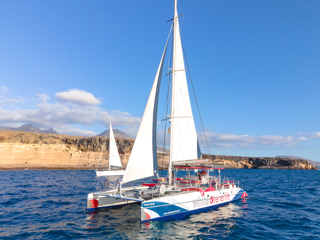 boat trips from puerto de santiago tenerife