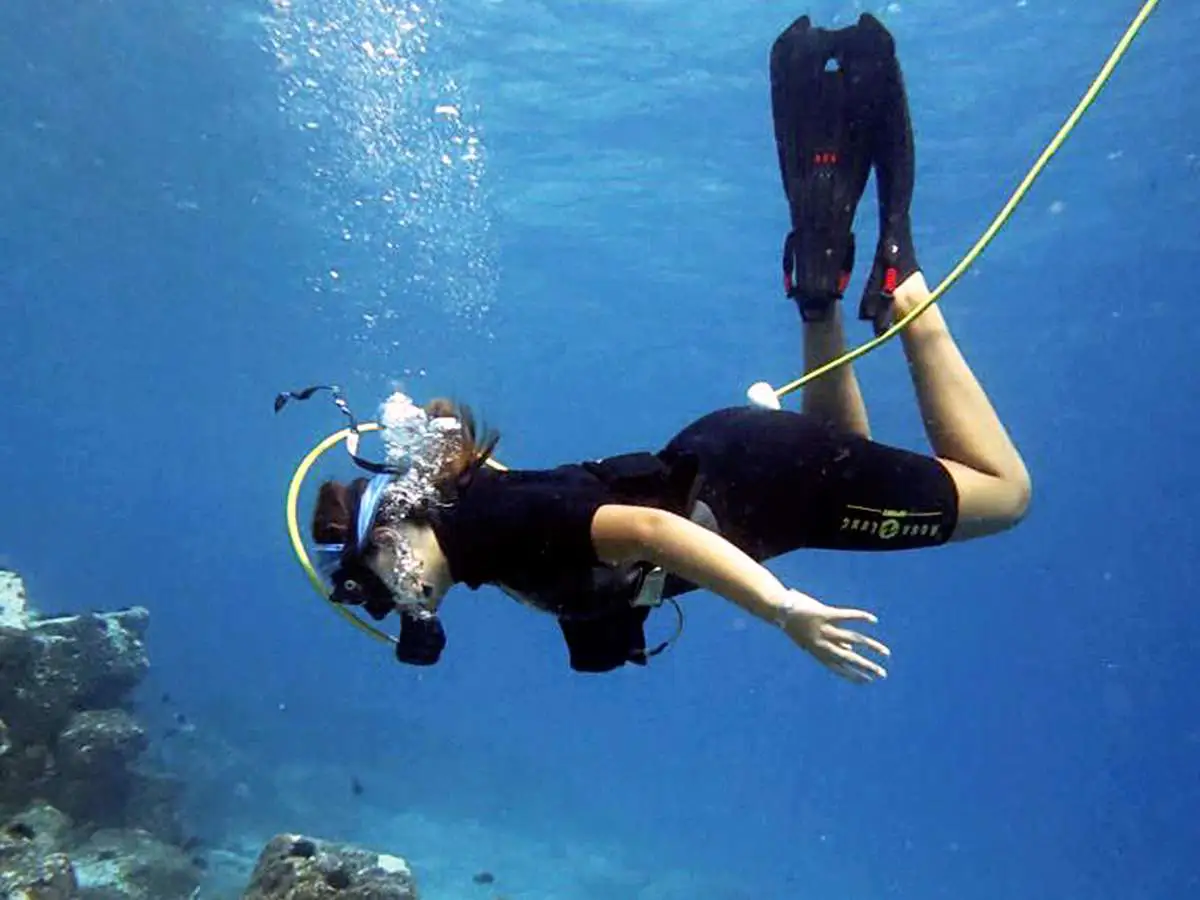Pepez Dive and Sail