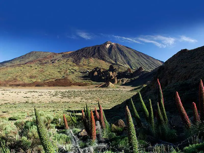 Teide Tour VIP