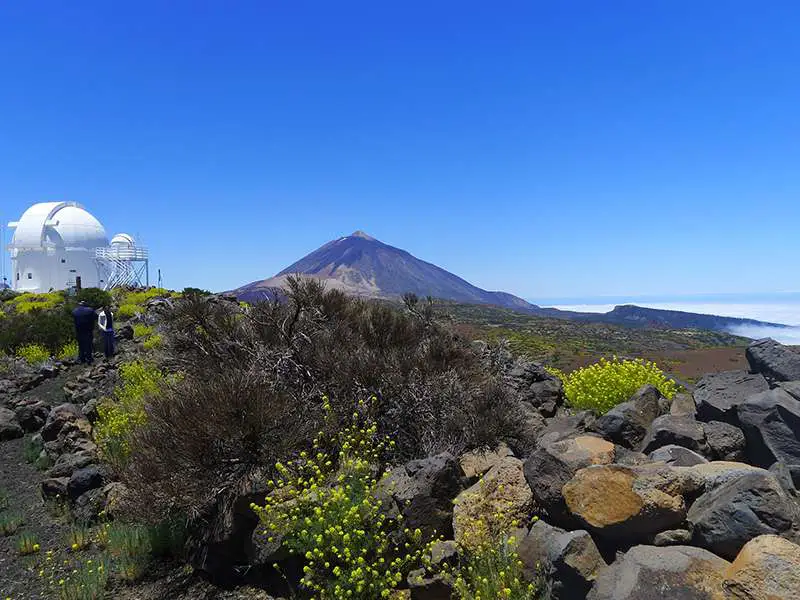 Teide Tour VIP