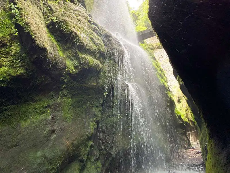 La Palma