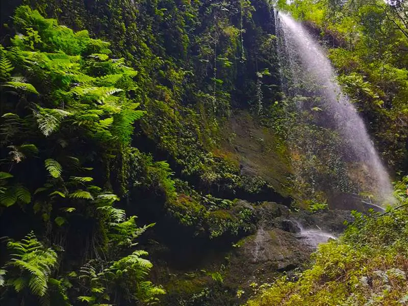 La Palma