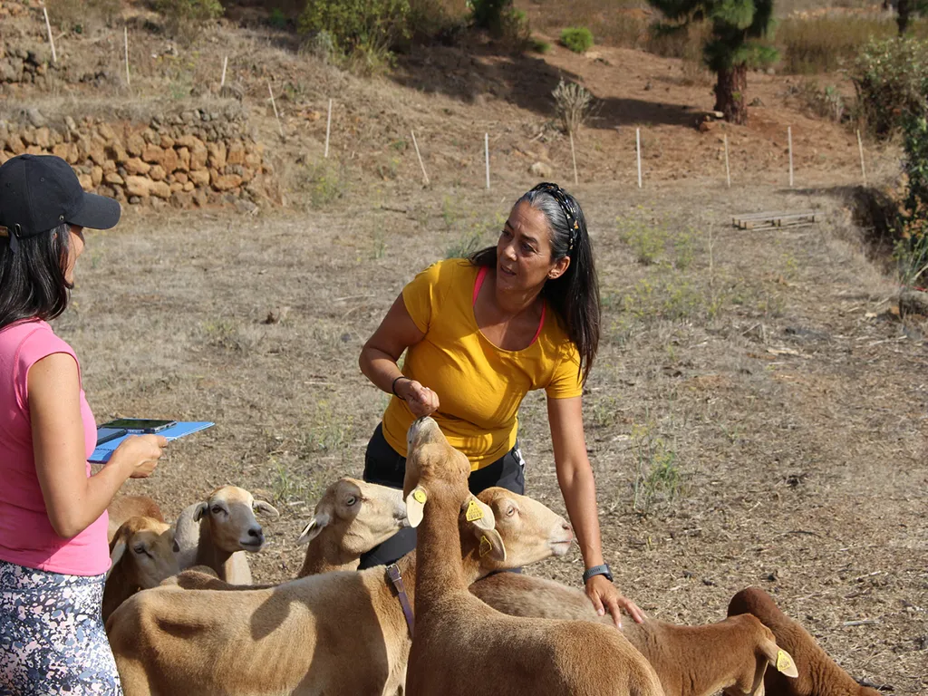 Tazirga Wellness Tours (Rutas Guiadas)