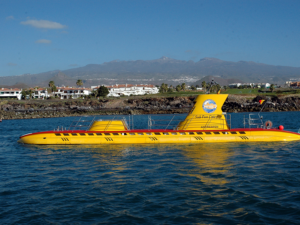 boat trips from puerto de santiago tenerife