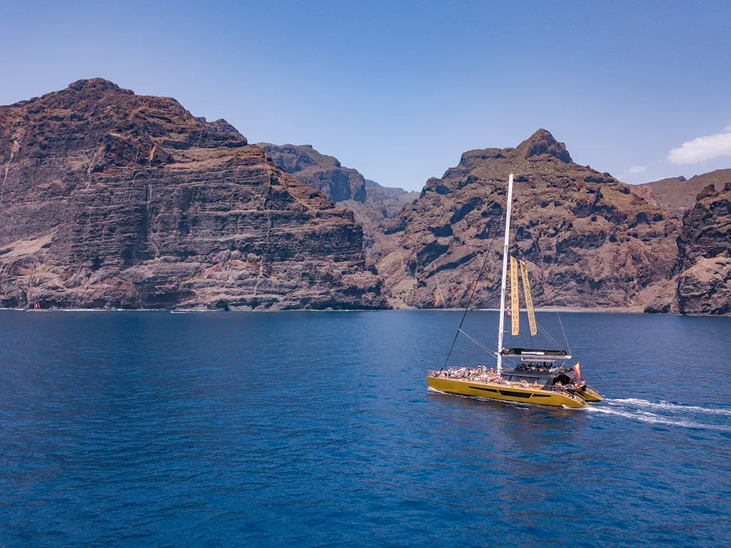 boat trips from puerto de santiago tenerife