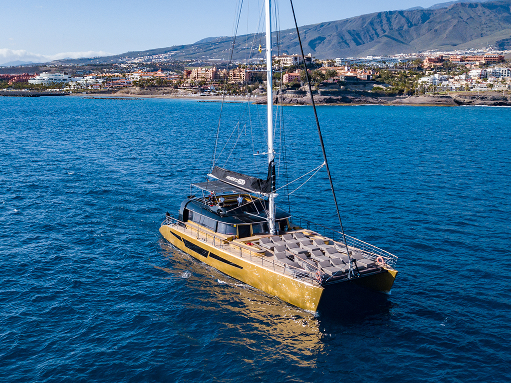 Freebird One Catamaran Tenerife Tenerife Tours