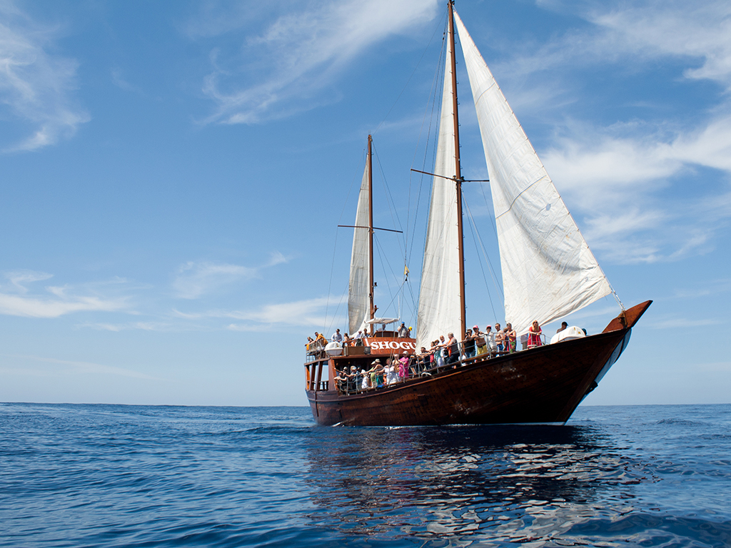 boat tours in tenerife