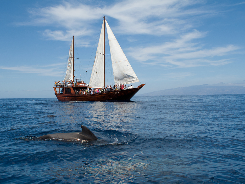 boat tours in tenerife