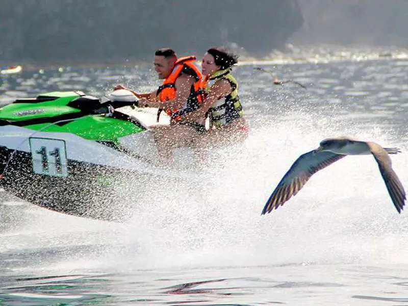 Jet Ski Safari Los Gigantes